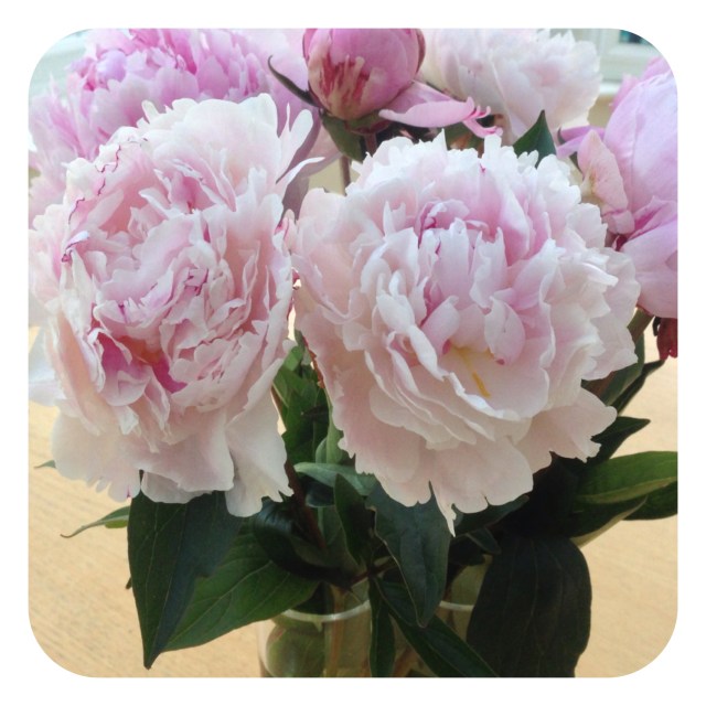 Beautiful flowers are a lovely way to mark the start of the weekend