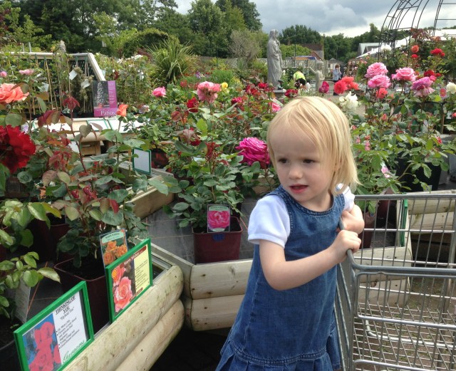 Garden centre