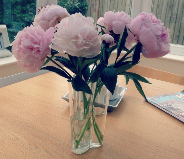 Peonies