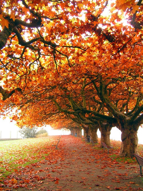 c7640942f58fbbe8d205d45068cbd827