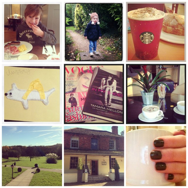 This week's faves 11:11:13